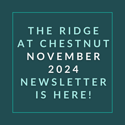 the ridge at chestnut november 2024 newsletter is here text