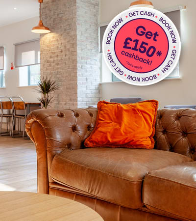 A brown leather couch with a red sign offering cashback.
