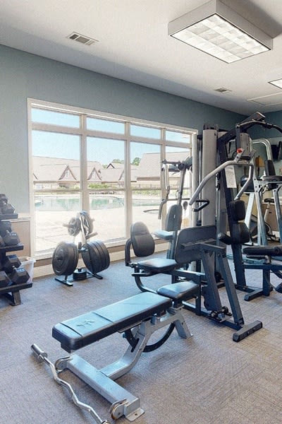 a gym with weights and a window view of a beach