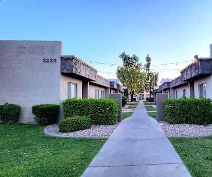 a walkway between two buildings with trees on both sides of the walkway
