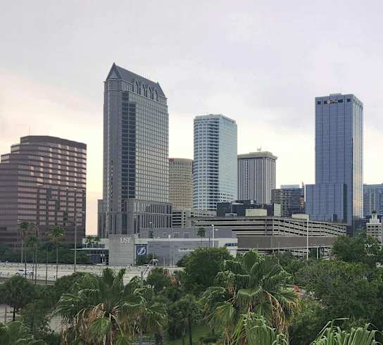 a city skyline with palm trees and tall buildings