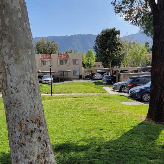 a grassy area with trees and buildings in the background