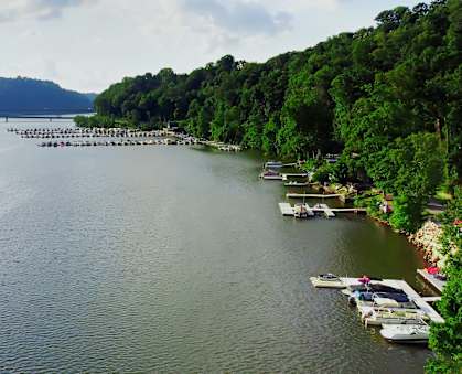 A serene lake surrounded by lush greenery and a bridge in the distance.