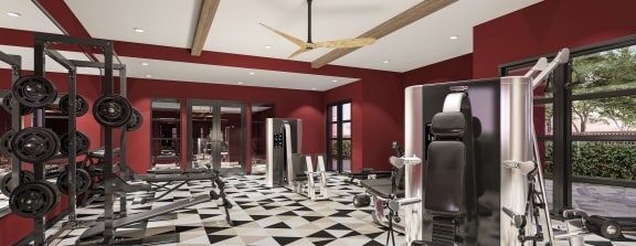 a workout room with dumbbells and a checkered floor