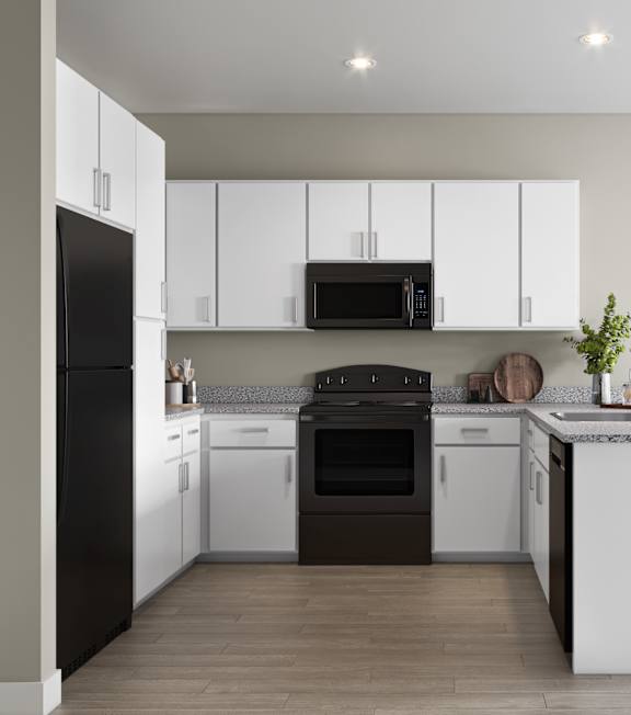 Modern Kitchens at Carson Crossing Affordable Apartments in East Austin TX