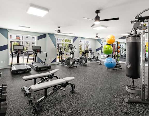 A gym with a variety of equipment including treadmills, weights, and exercise balls.