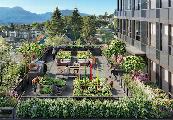 A rooftop garden with people tending to the plants.