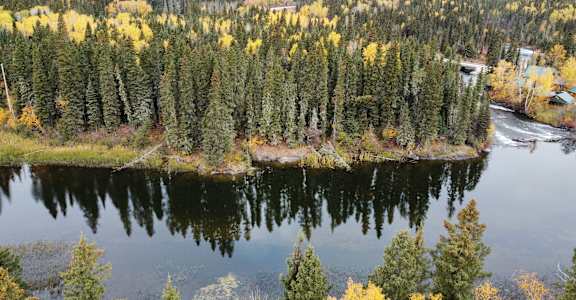 A lake surrounded by trees in autumn.
