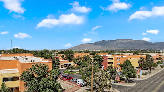 A view of a town with buildings and a mountain in the background.