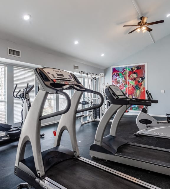 the gym at 1861 muleshoe road has treadmills and other exercise equipment
