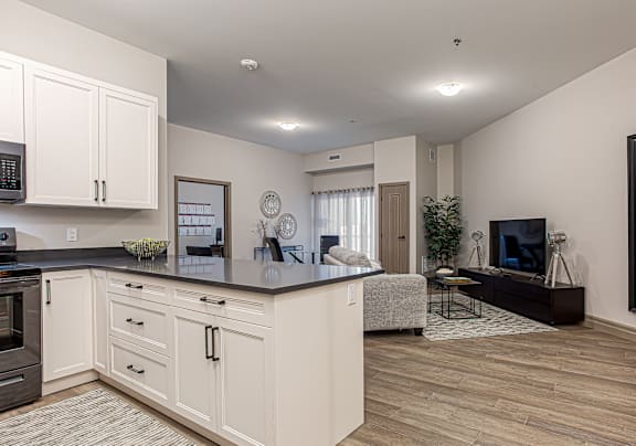 the enclave at homecoming terra vista kitchen and living room