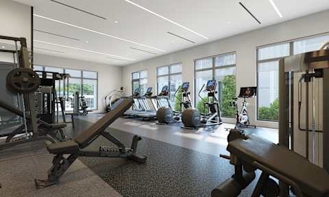 Apartments with a Gym at Marquee Square Apartments in Tampa, FL