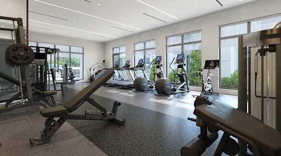 Apartments with a Gym at Marquee Square Apartments in Tampa, FL