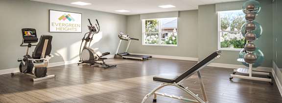A gym with a variety of equipment including a treadmill, weights, and a bench press.