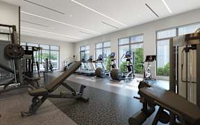 Apartments with a Fitness Center at Marquee Square Apartments in Tampa, FL