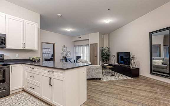the enclave at homecoming terra vista kitchen and living room