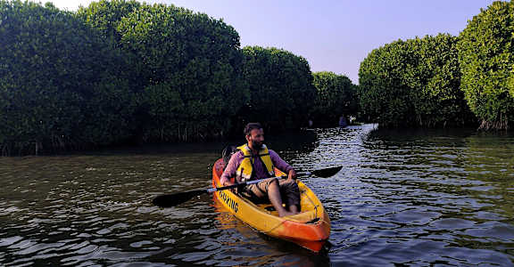 A person in a yellow kayak paddles through a mangrove forest.