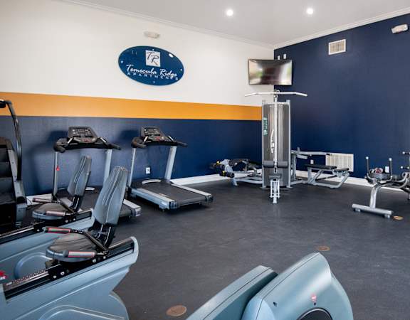 A gym with treadmills, exercise bikes and other equipment.
