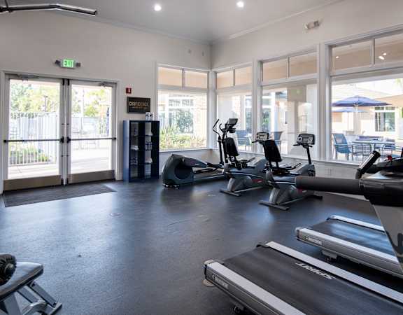 A gym with treadmills, exercise bikes and other equipment.