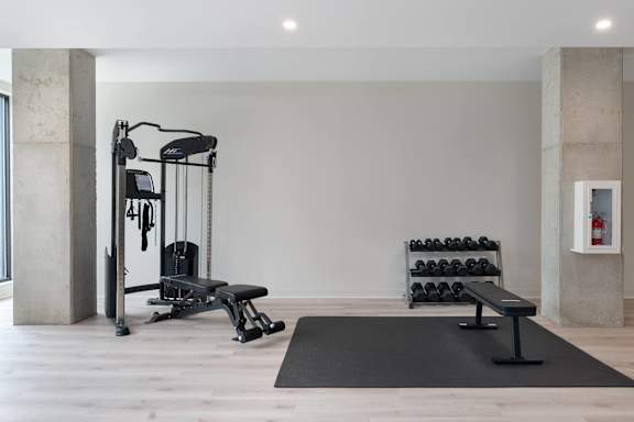 A gym with a bench, weights, and a barbell.