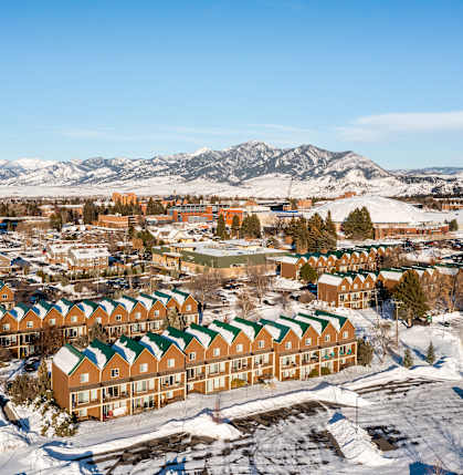 A large group of houses with a mountain in the background.