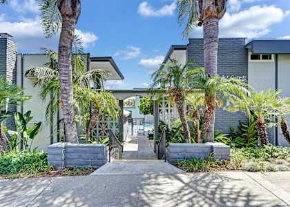 A modern house with a driveway and palm trees.