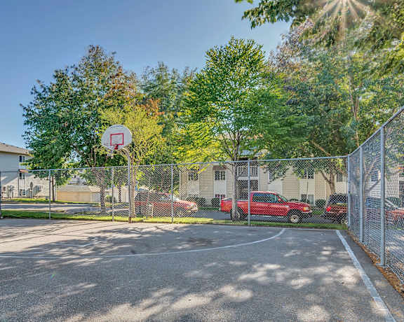 A basketball court is surrounded by a chain link fence and there are trees in the background.