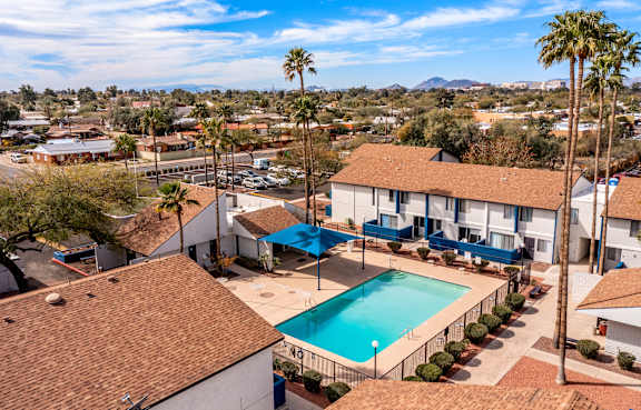 A swimming pool surrounded by a fence and palm trees.