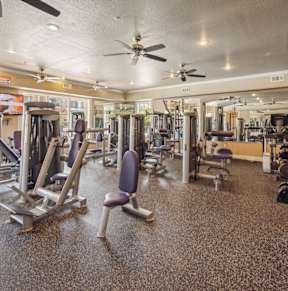 a gym with cardio equipment and weights
