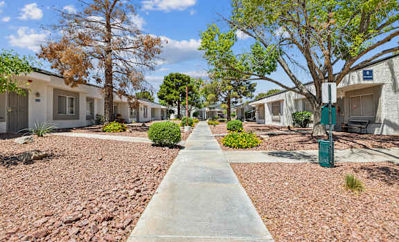 an empty sidewalk between two buildings with trees and plants