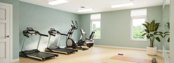 A room with exercise equipment and a plant.