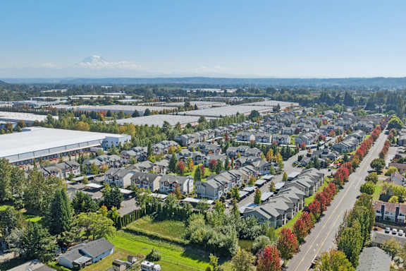 A suburban neighborhood with houses and trees in autumn colors.