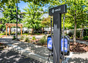 Thumbnail 3 of 20 - A sign for Xeol is on a pole in front of a tree.