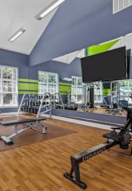 A gym with a variety of equipment including weights and a bench press.