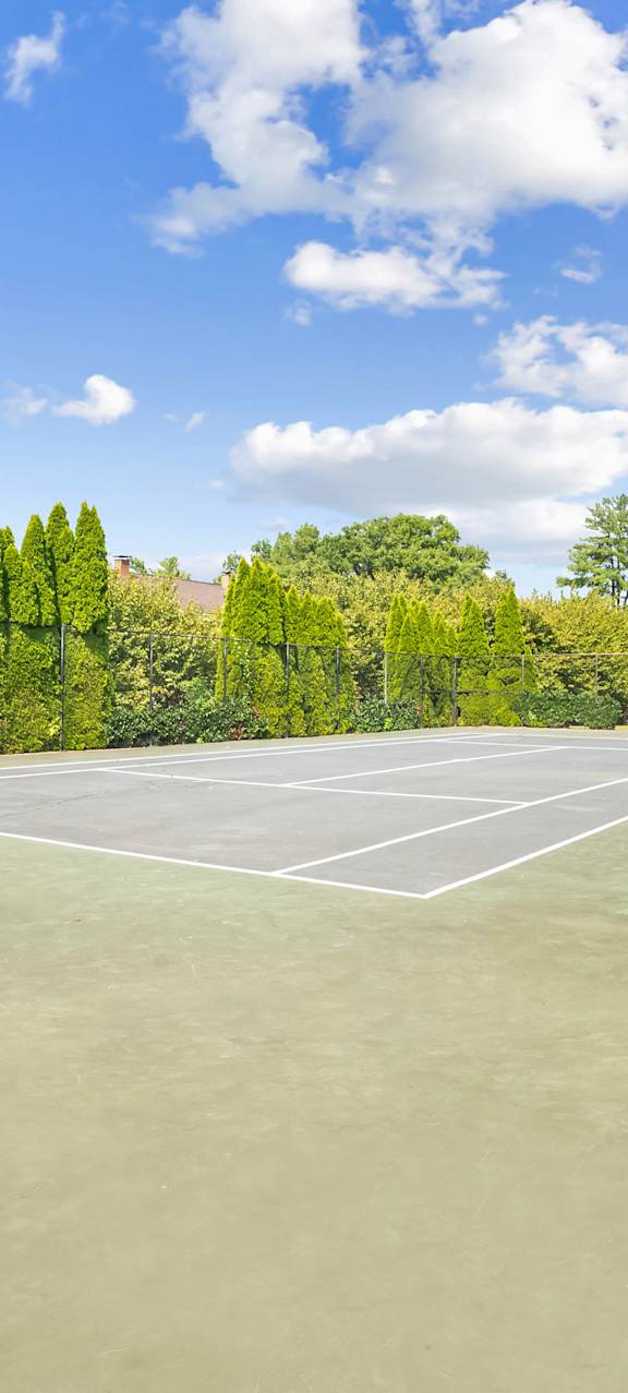 A tennis court surrounded by green trees and bushes.
