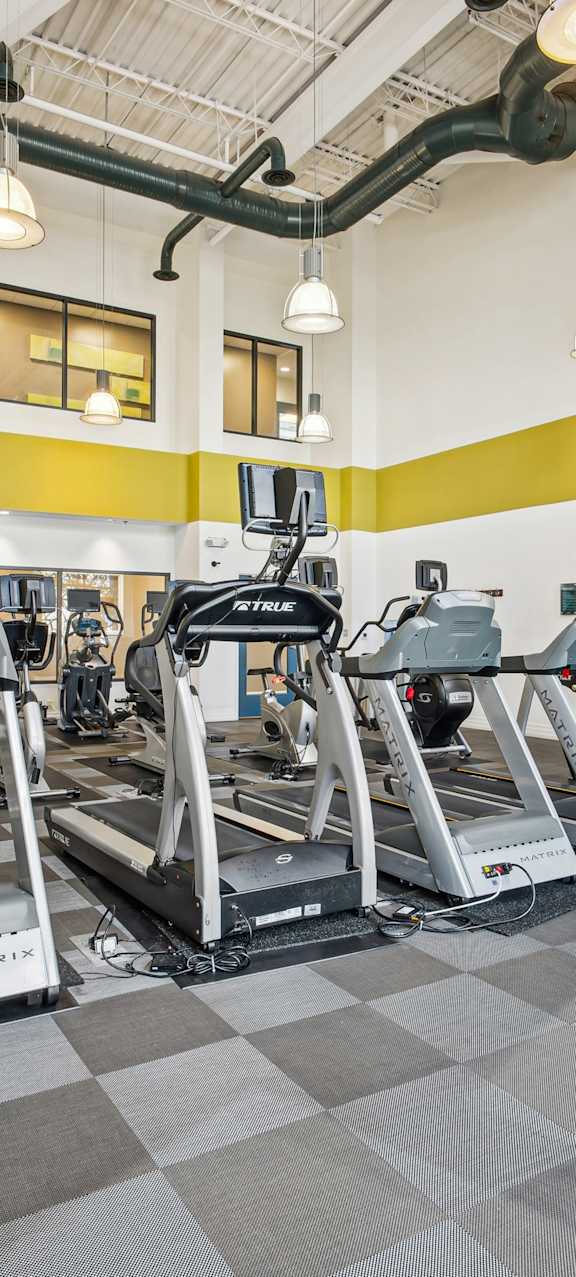 A gym with treadmills and elliptical machines.