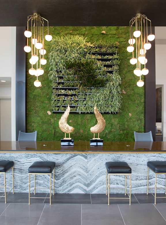 A modern bar with a green wall behind it.