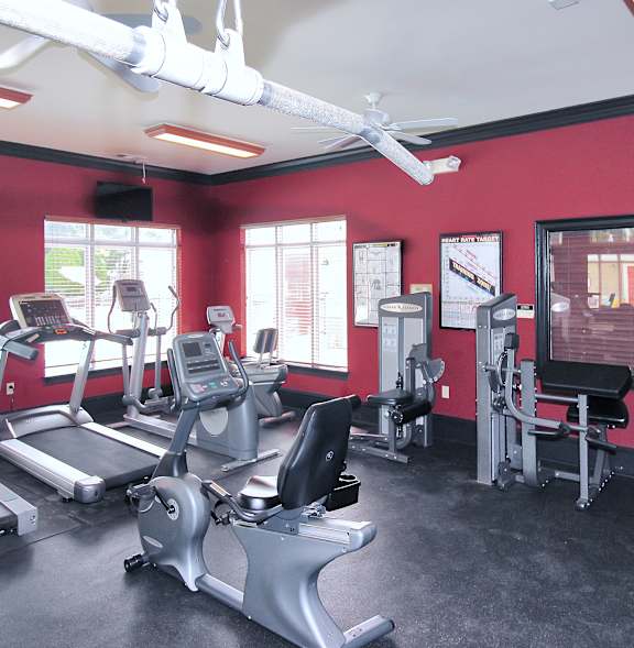 A gym with treadmills, exercise bikes, and other equipment.