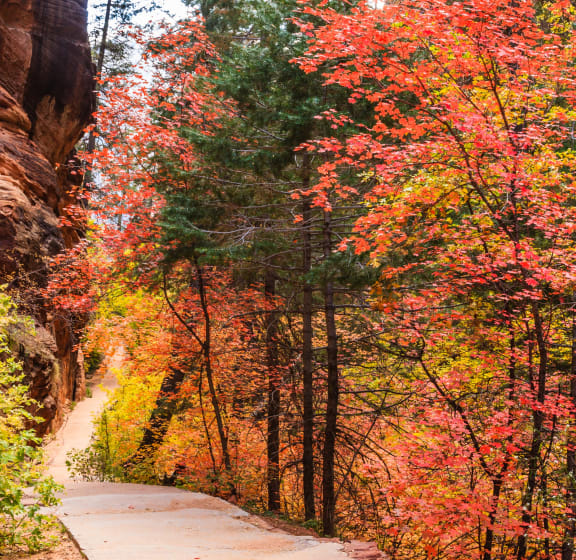 a path through a canyon with red and green trees at Current by Lotus, Utah , 84401