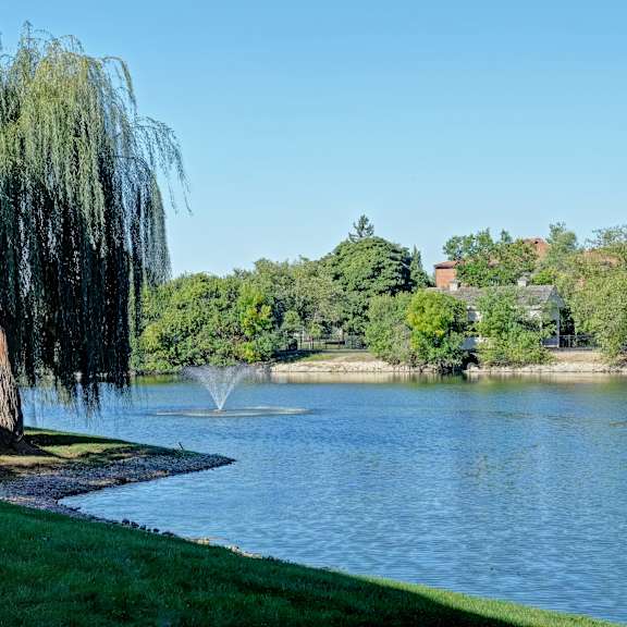 A weeping willow tree is next to a body of water with a fountain in the middle.