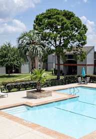 A swimming pool surrounded by palm trees and a building.