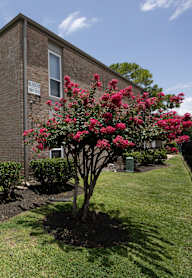 A brick building with a tree with pink flowers in front of it.