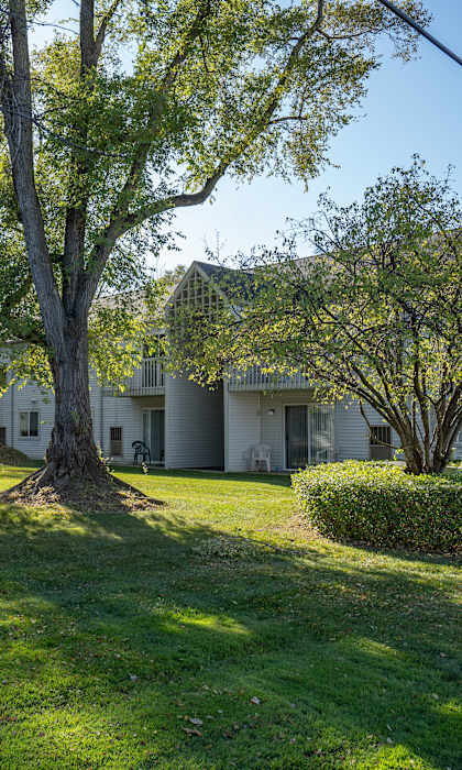 A tree in the middle of a grassy area with houses in the background.