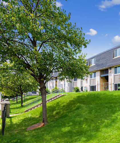 a building with a green lawn and a tree in front of it
