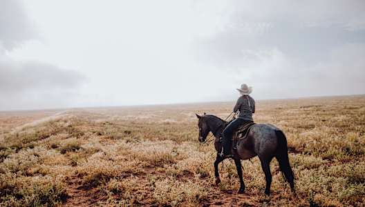 a person riding a horse in a field