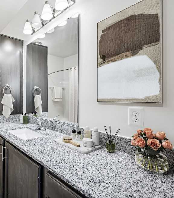 Luxurious Bathroom at Aspire Apollo, Maryland