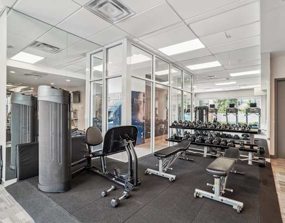 a gym with weights machines and glass walls