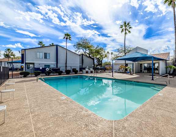A swimming pool in a backyard with a house and palm trees in the background.