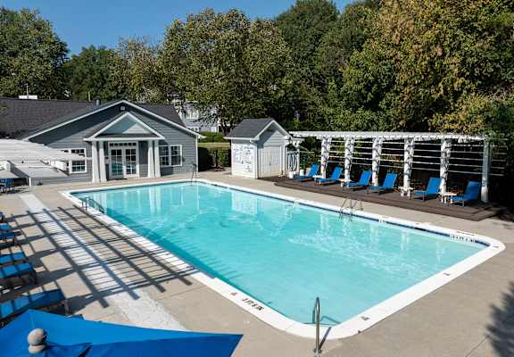 A swimming pool surrounded by trees and a small building.