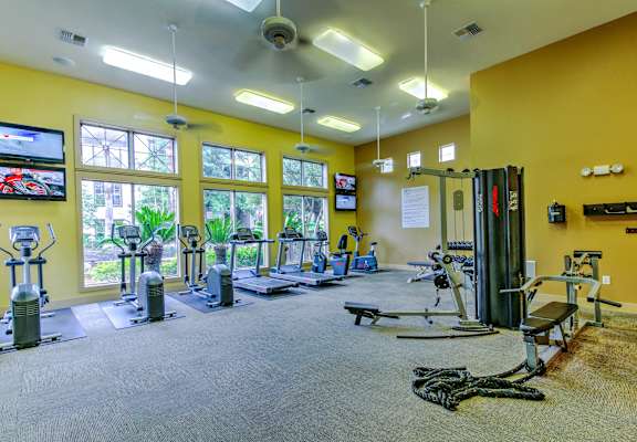 the gym atrium at the preserve at polk apartments at Stone Creek at Old Farm Apartments, Houston